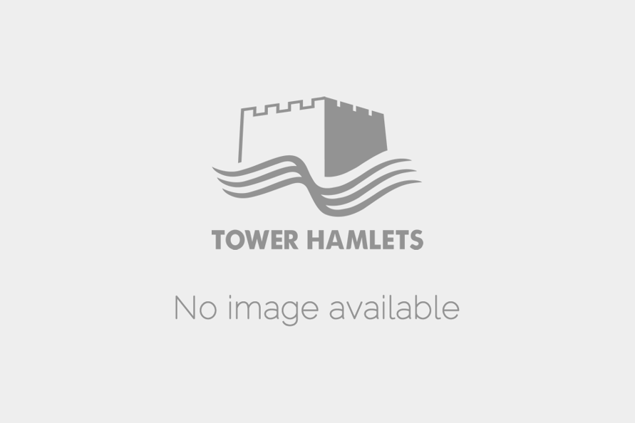 Holding image to show when there is no selected image